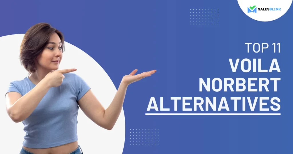 Top 11 Voila Norbert Alternatives
