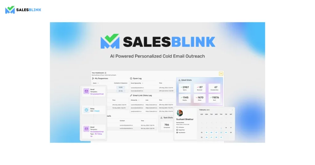 Why Choose SalesBlink’s Account Management Service?